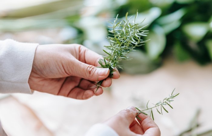 Rosemary Essential Oil: Uses & Benefits - Brown Living™