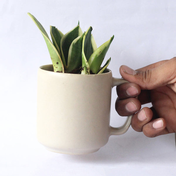 Abha - Recycled Ceramic Desk Planter with holder | Verified Sustainable Pots & Planters on Brown Living™