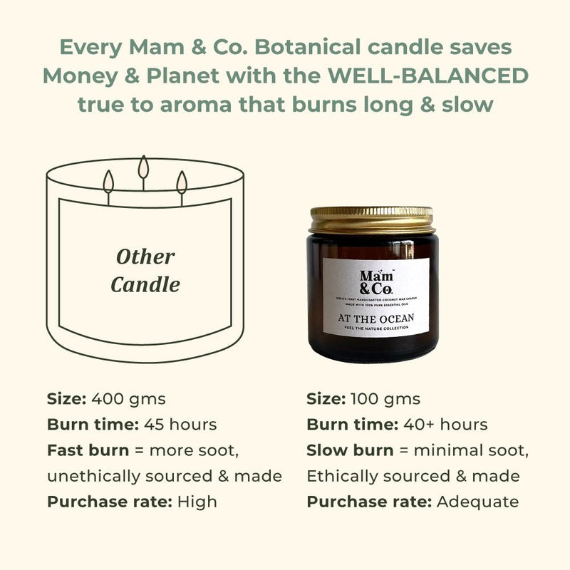 At the Ocean - 100% Coconut Wax Botanical Candle | Verified Sustainable Candles & Fragrances on Brown Living™