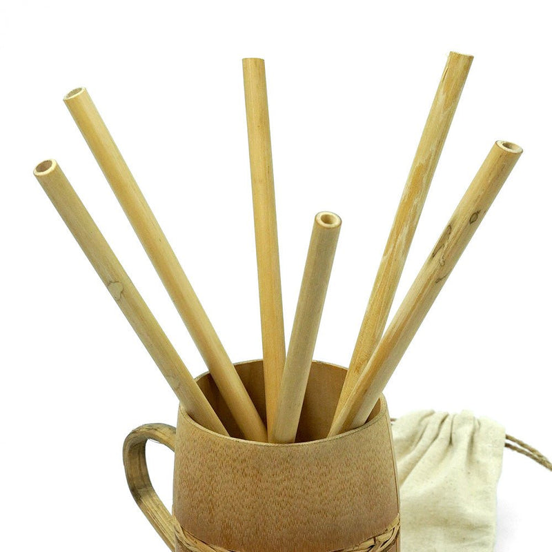 Bamboo Straws - Set of 6 - Eco-friendly / Washable / Reusable | Verified Sustainable Drinking Straws & Stirrers on Brown Living™