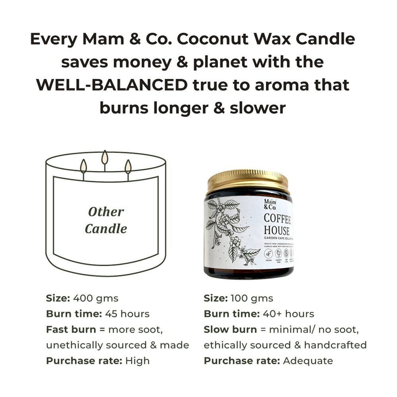 Best Seller Gift Pack - Set of 6 Coconut Wax Candles | Verified Sustainable Gift Giving on Brown Living™