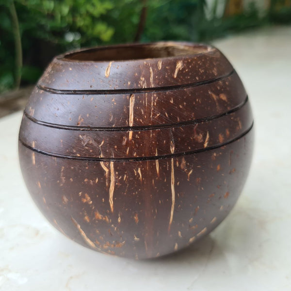 Coconut Shell Three line Planter Pots | Ideal for Small Plants (Set of 1) | Verified Sustainable Pots & Planters on Brown Living™