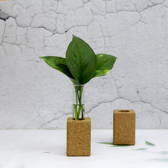 Cork Fridge Planter | Verified Sustainable Pots & Planters on Brown Living™