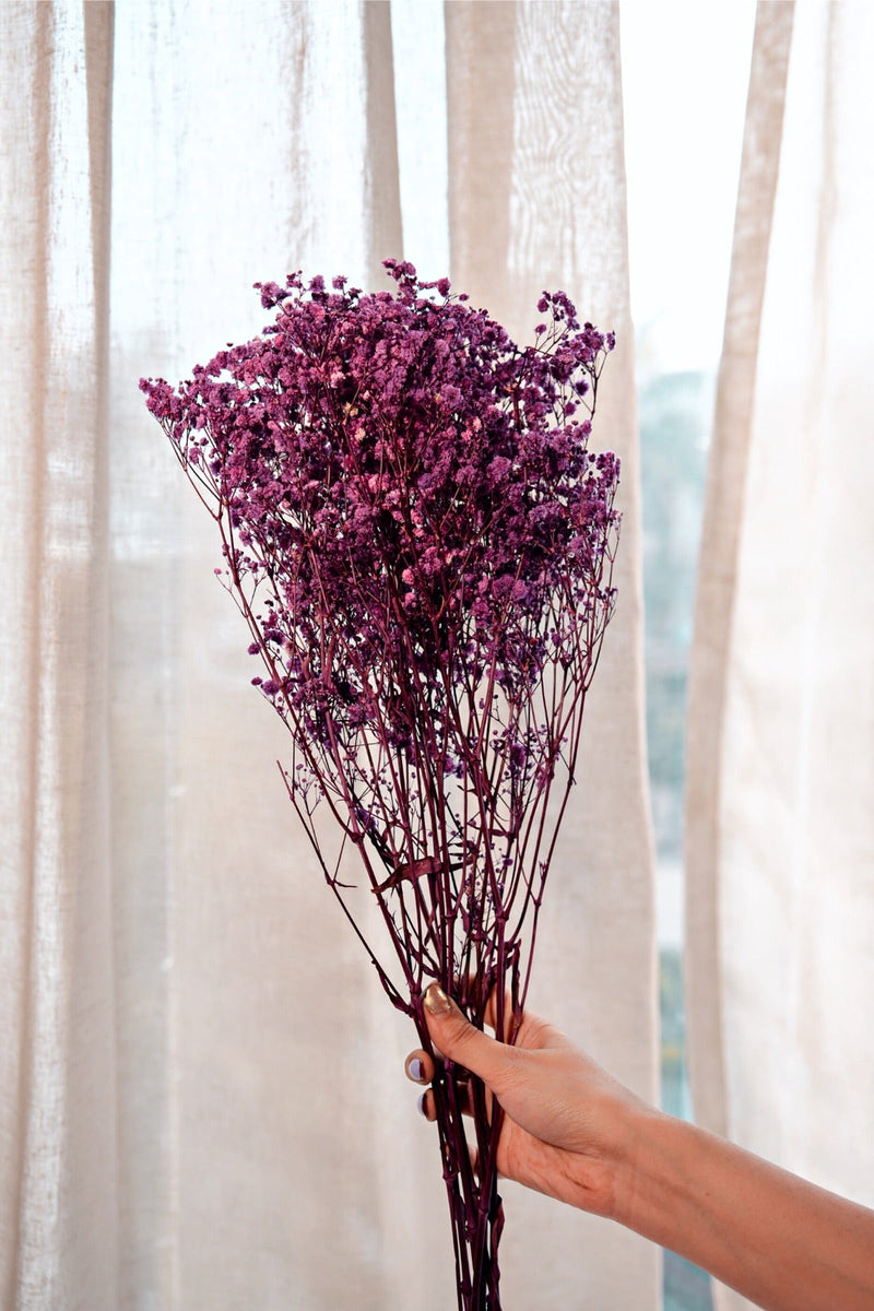 Dried Baby Breaths-Purple | Verified Sustainable Decor & Artefacts on Brown Living™