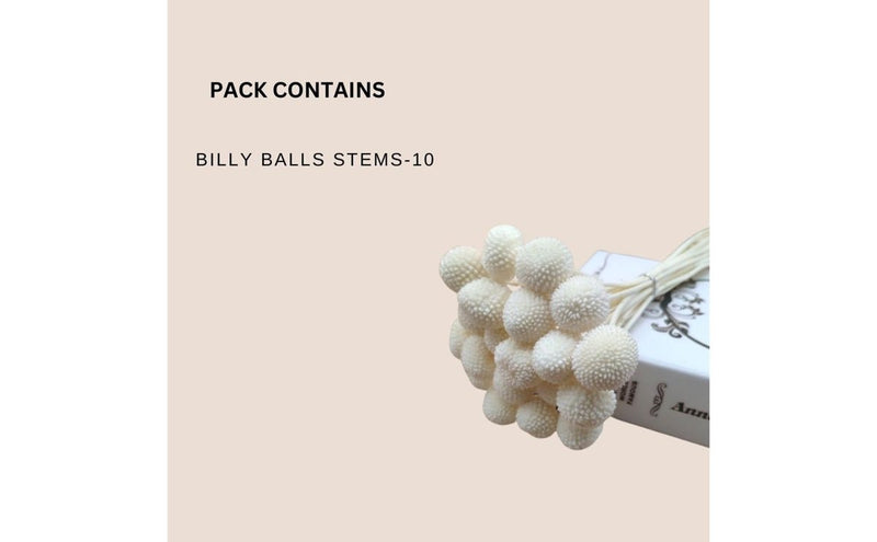 Dried Billy Balls-White | Verified Sustainable Decor & Artefacts on Brown Living™