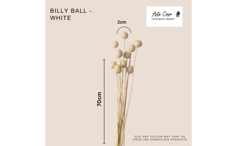 Dried Billy Balls-White | Verified Sustainable Decor & Artefacts on Brown Living™