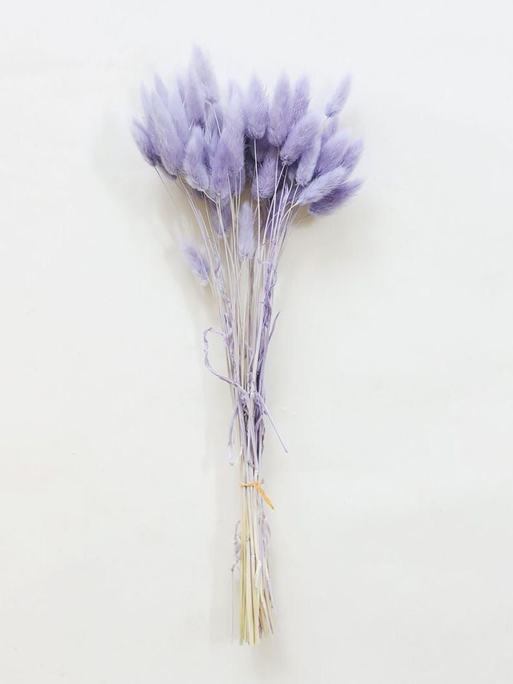 Dried Bunny Tails-Liliac | Verified Sustainable Decor & Artefacts on Brown Living™