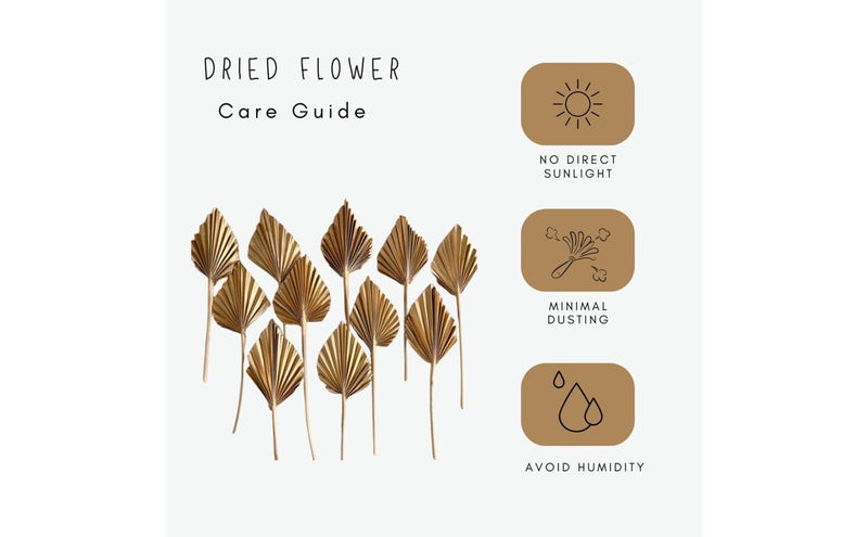 Dried Fan Palm Sphere-Golden | Verified Sustainable Decor & Artefacts on Brown Living™