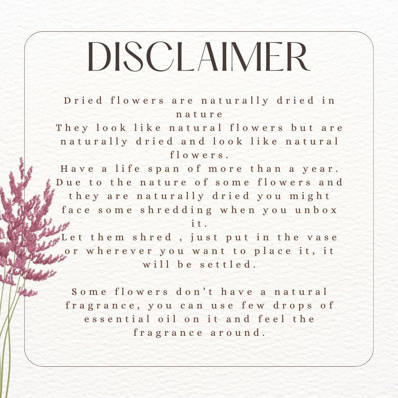 Dried Limonium Purple | Verified Sustainable Decor & Artefacts on Brown Living™