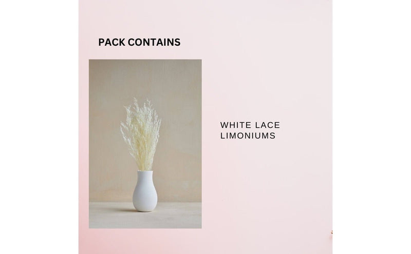 Dried Limonium White | Verified Sustainable Decor & Artefacts on Brown Living™