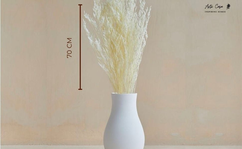 Dried Limonium White | Verified Sustainable Decor & Artefacts on Brown Living™