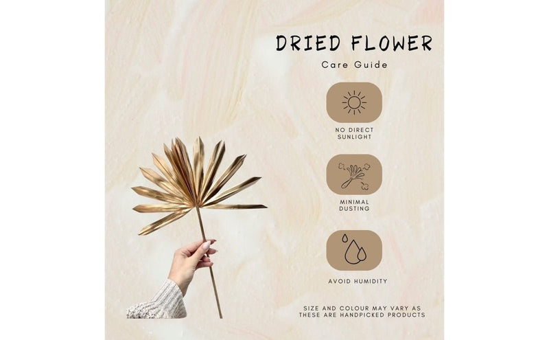 Dried Palm Sphere-Golden | Verified Sustainable Decor & Artefacts on Brown Living™