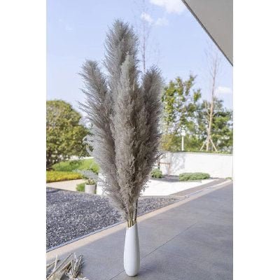 Dried Pampas XL-Grey | Verified Sustainable Decor & Artefacts on Brown Living™