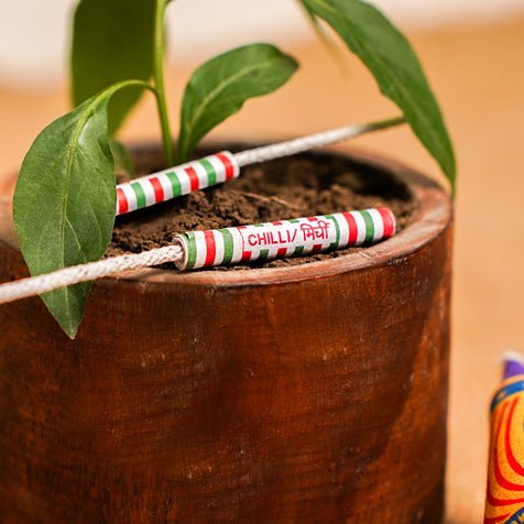 Grow Me Diwali Gift Hamper | Plantable Crackers - Wooden Planter | Verified Sustainable Gift Giving on Brown Living™