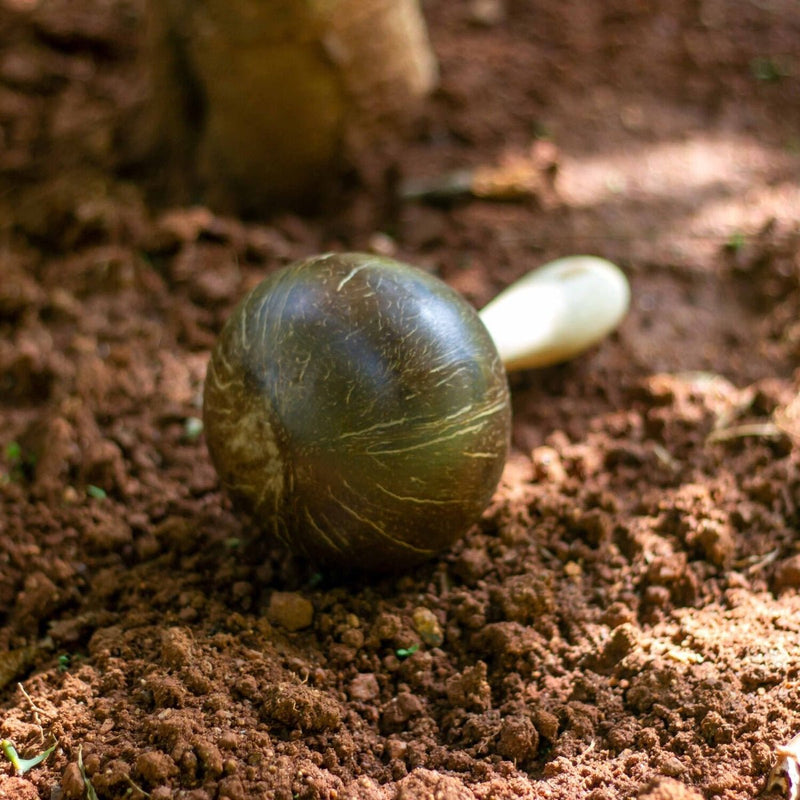 Handcrafted Coconut Maracas | Verified Sustainable Musical Instruments on Brown Living™