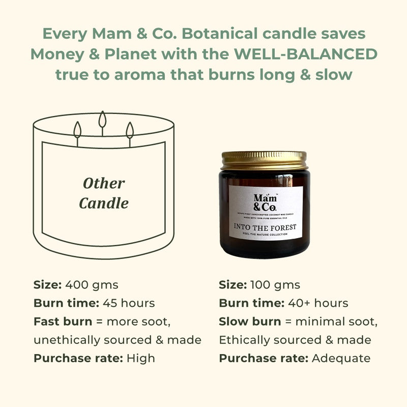 Into the Forest- 100% Coconut Wax Botanical Candle