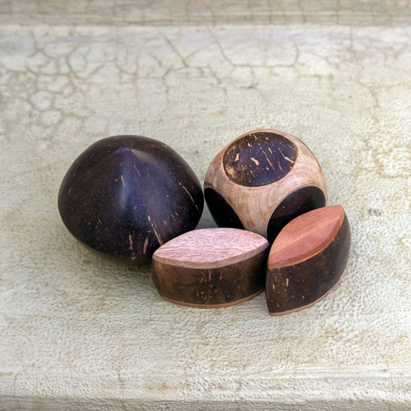 Mini Coconut Shakers Combo of 3 - Round, Square, Eye | Verified Sustainable Musical Instruments on Brown Living™