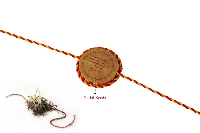 Nazarbattu Premium Rakhi Box | Handmade Plantable Rakhi and Lumba Set | Verified Sustainable Rakhi on Brown Living™