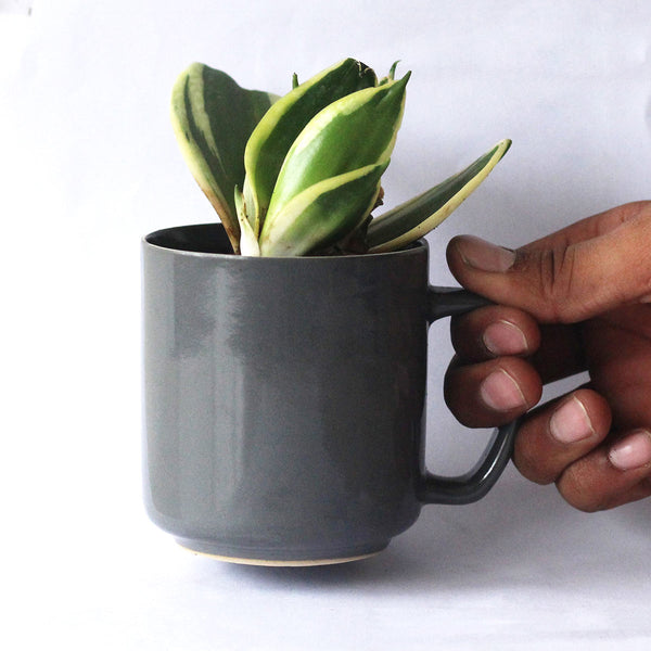 Pashan - Recycled Ceramic Desk Planter with holder | Verified Sustainable Cups & Saucers on Brown Living™