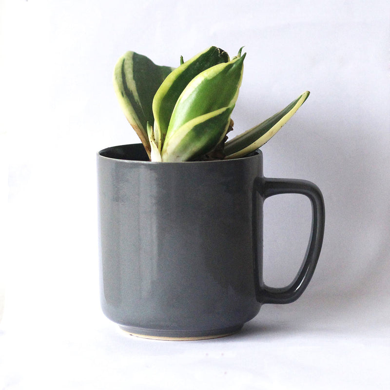 Pashan - Recycled Ceramic Desk Planter with holder | Verified Sustainable Cups & Saucers on Brown Living™