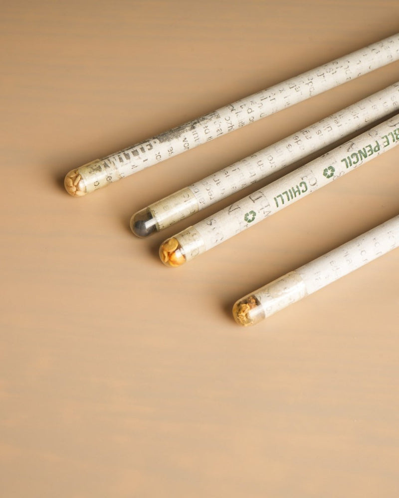 Plantable Seed Pencils | Stationery | Set of 3 | Verified Sustainable Pens & Pencils on Brown Living™