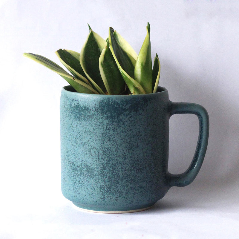 Rustic Vana - Limited Edition Recycled Ceramic Desk Planter with holder | Verified Sustainable Cups & Saucers on Brown Living™