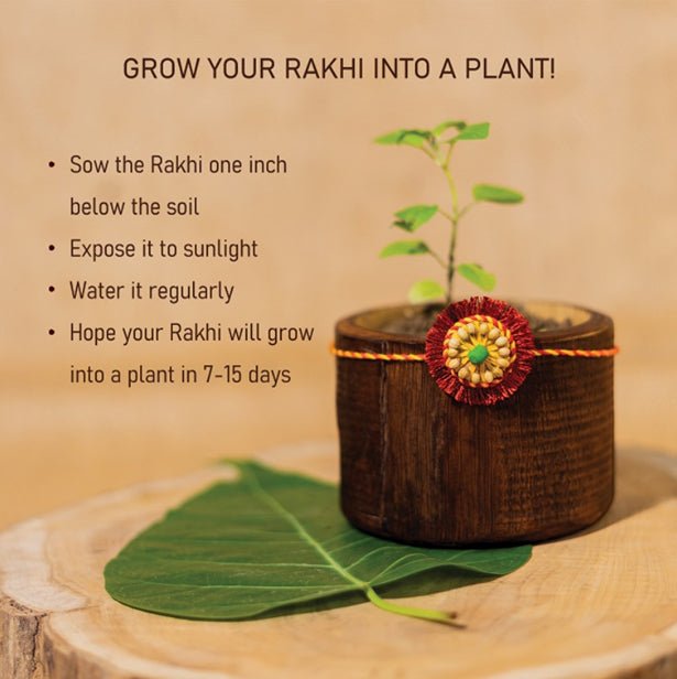 Sneh Handmade Plantable Eco - friendly Rakhi | Grows into Plant | Verified Sustainable Rakhi on Brown Living™