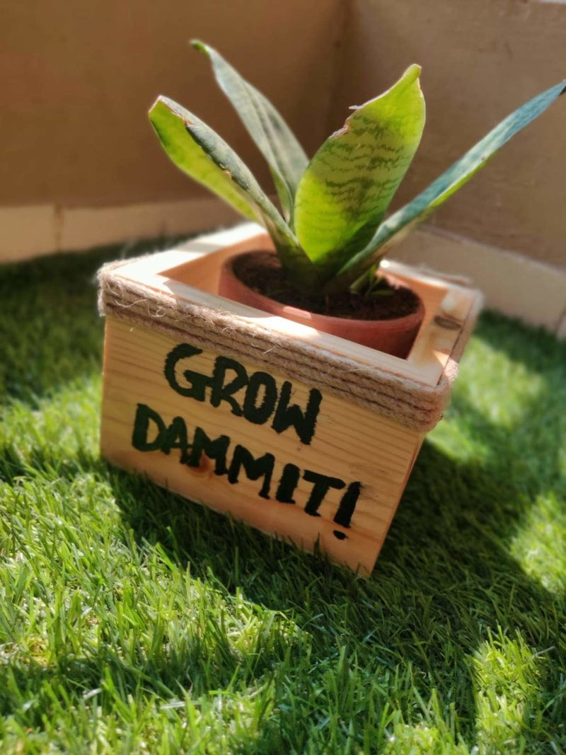 Wooden Planter Box/Square: Grow Dammit