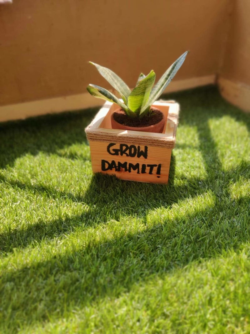 Wooden Planter Box/Square: Grow Dammit