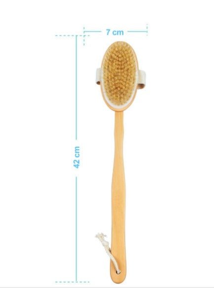 Buy 2-in-1 Dry Skin Body Brush with 14 inch Removable Wood Handle | Shop Verified Sustainable Body Scrub on Brown Living™