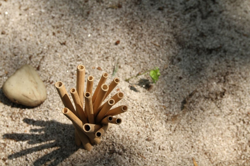 Buy Bamboo Straw with Jute Pouch | 4 Straws & 1 Cleaner | Reusable Natural & Handcrafted | Shop Verified Sustainable Straw on Brown Living™