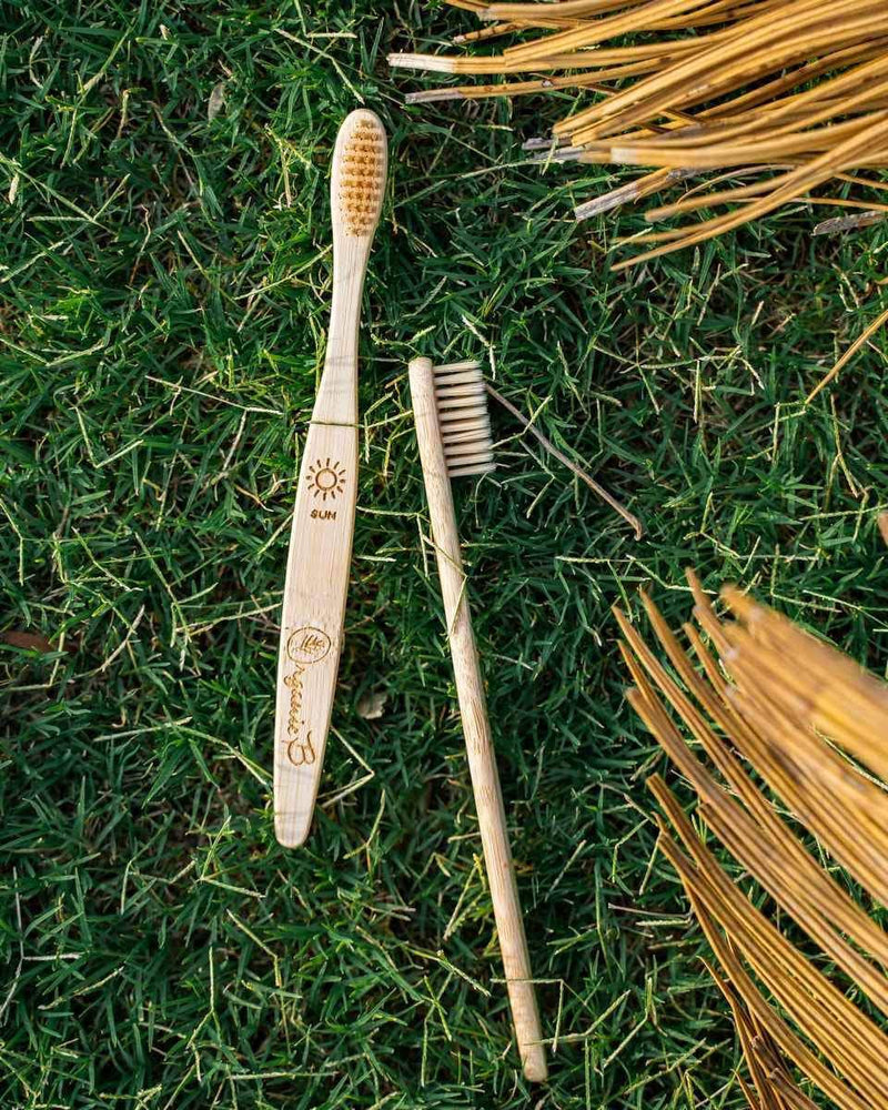 Buy Bamboo Toothbrush - Pack of 2 | Shop Verified Sustainable Tooth Brush on Brown Living™