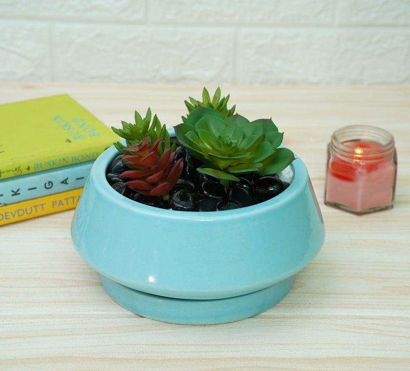 Buy Ceramic Bonsai Pots for Plants | Sky Blue | Shop Verified Sustainable Pots & Planters on Brown Living™