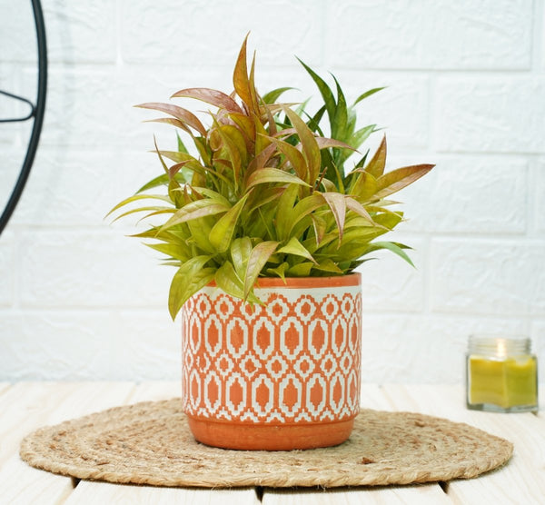 Buy Ceramic Pots For Indoor Plants 14 X 15 Cm (Orange Aztec) | Shop Verified Sustainable Pots & Planters on Brown Living™