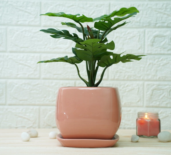 Buy Ceramic Pots For Indoor Plants (Peach Hanoi) | Shop Verified Sustainable Pots & Planters on Brown Living™