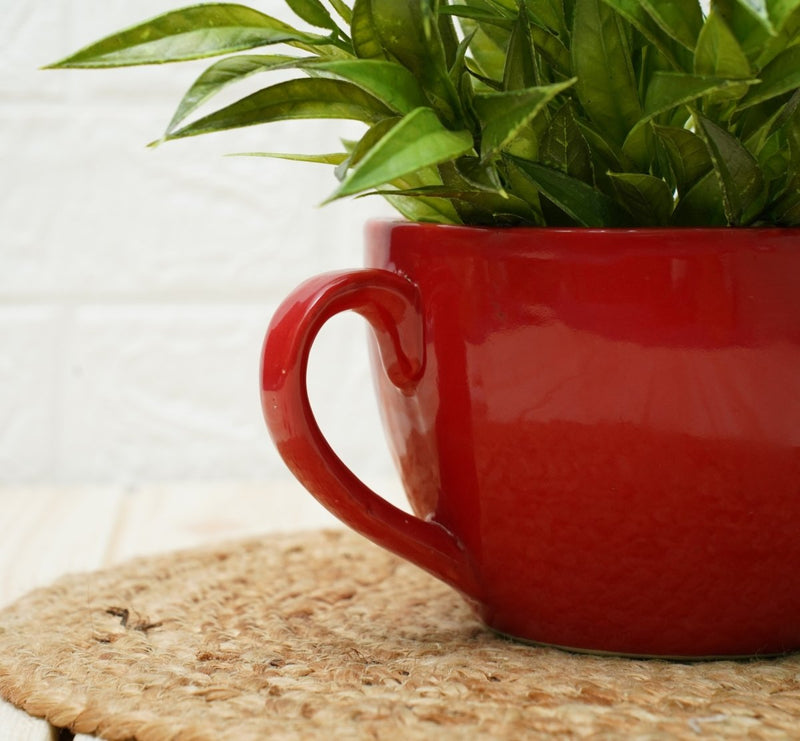 Buy Ceramic pots for Plants | Cup Shape (Red Plain) | Shop Verified Sustainable Pots & Planters on Brown Living™