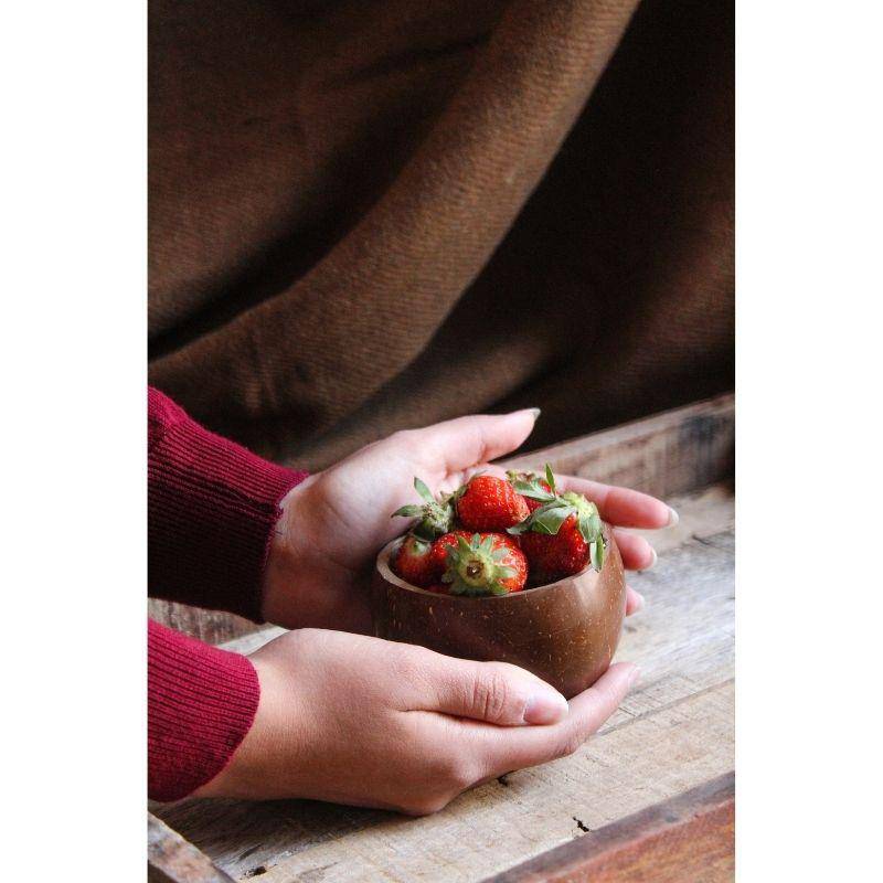 Buy Coconut Bowl - Set of 4, Handcrafted, 300 ml | Shop Verified Sustainable Plates & Bowls on Brown Living™