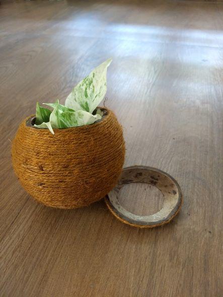 Buy Coconut Shell Planter woven with Jute thread | Shop Verified Sustainable Pots & Planters on Brown Living™