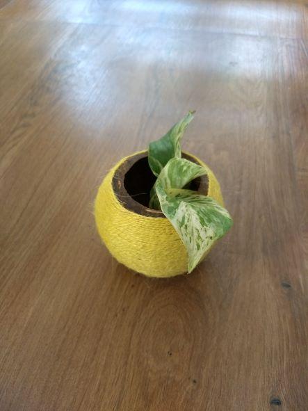 Buy Coconut Shell Planter woven with Jute thread | Shop Verified Sustainable Pots & Planters on Brown Living™