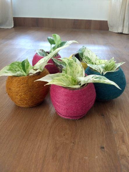 Buy Coconut Shell Planter woven with Jute thread | Shop Verified Sustainable Pots & Planters on Brown Living™