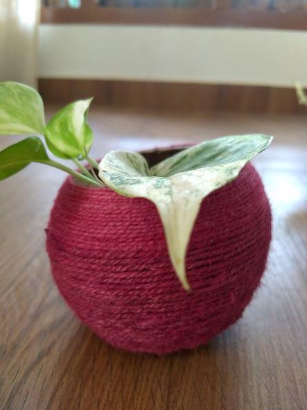 Buy Coconut Shell Planter woven with Jute thread | Shop Verified Sustainable Pots & Planters on Brown Living™