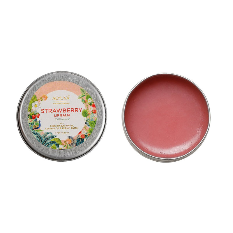 Buy Combo of Ghee Enriched Lip Balms 5 Flavours 7gm Each | Shop Verified Sustainable Lip Balms on Brown Living™