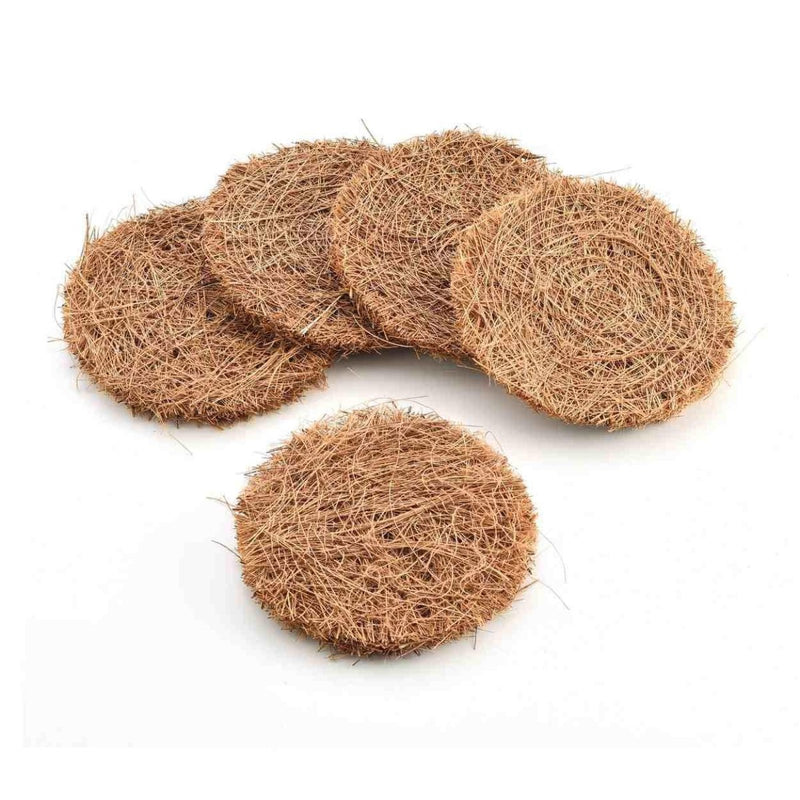 Buy Dishwash Scrub, Pack of 5 | Shop Verified Sustainable Cleaning Supplies on Brown Living™