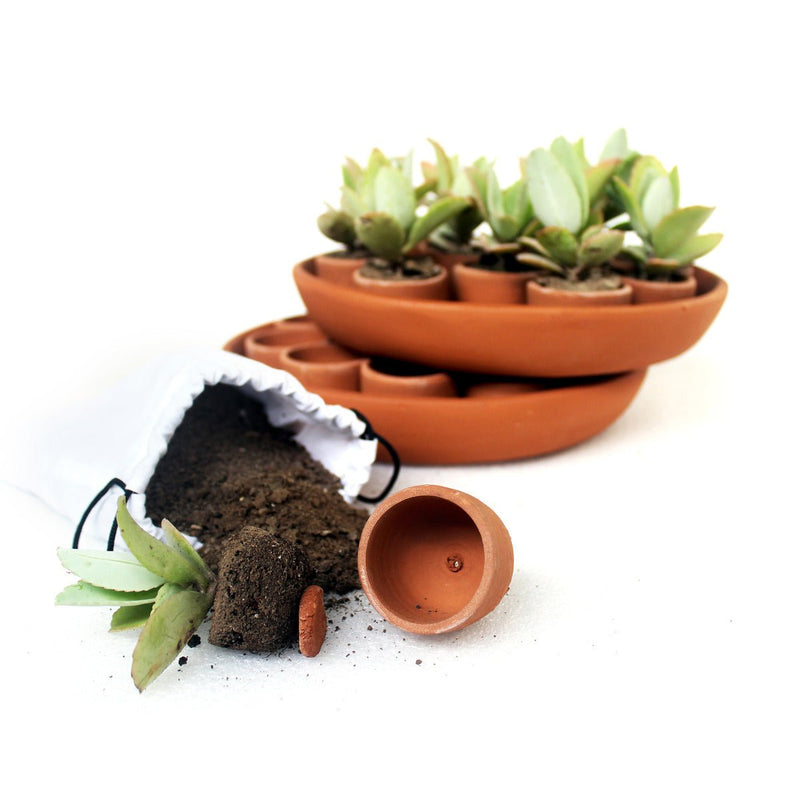 Buy Disk Plantation Germination Kit- Set of 26 Small Pots | Shop Verified Sustainable Pots & Planters on Brown Living™