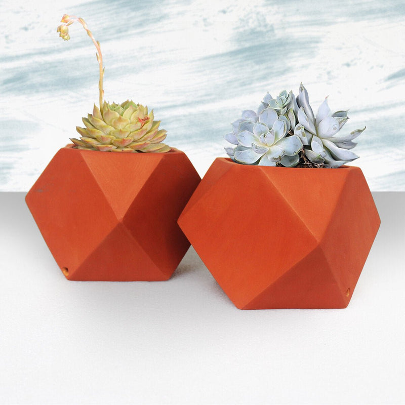 Buy D'MOND-3 Terracotta Planter Set of 2 | Shop Verified Sustainable Products on Brown Living