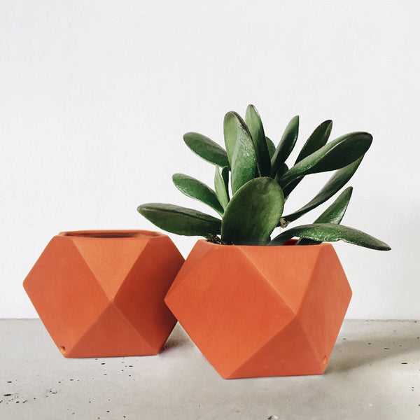 Buy D'MOND-3 Terracotta Planter Set of 2 | Shop Verified Sustainable Products on Brown Living