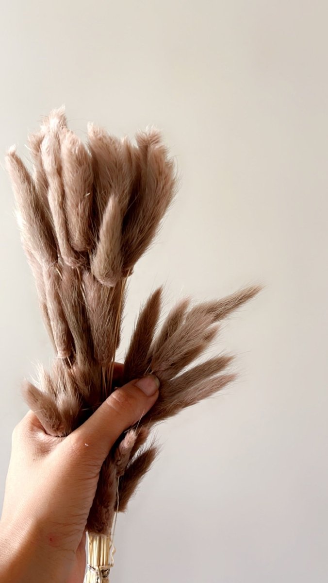 Buy Dried Bunny Tails-Brown | Shop Verified Sustainable Products on Brown Living