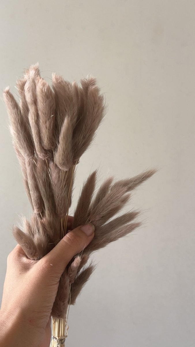 Buy Dried Bunny Tails-Brown | Shop Verified Sustainable Products on Brown Living