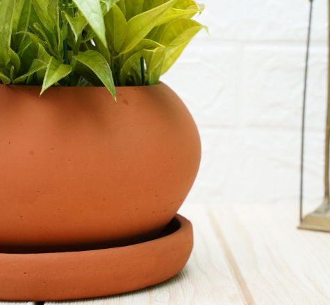 Buy Earthen Pot For Small Plants(Pack of 1) | Shop Verified Sustainable Pots & Planters on Brown Living™