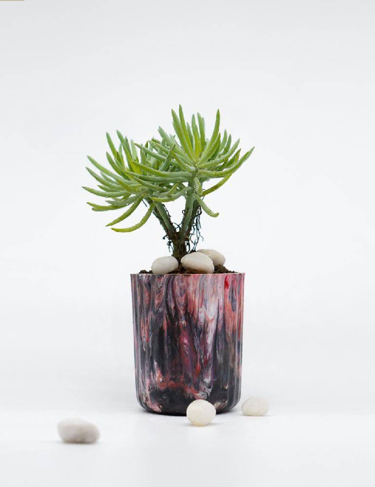 Buy EcoPots Planter- Ciel | Shop Verified Sustainable Pots & Planters on Brown Living™